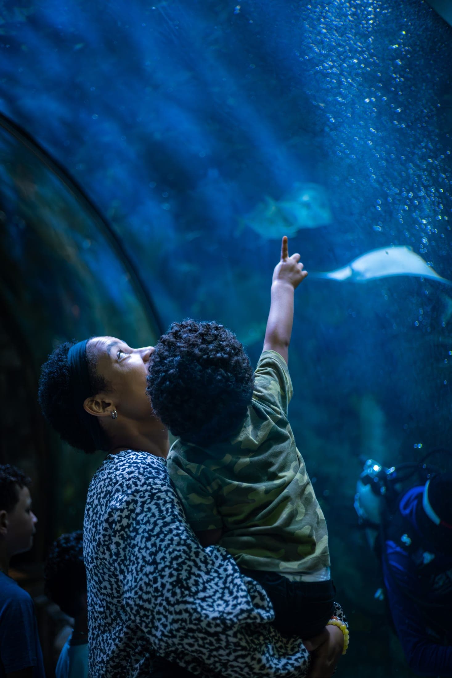 A child reaching toward a stingray